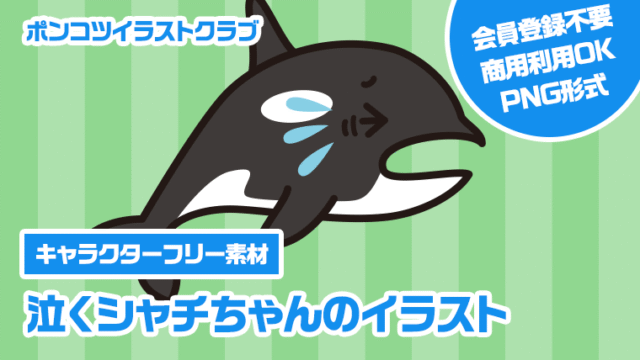 【キャラクターフリー素材】泣くシャチちゃんのイラスト