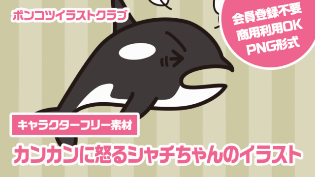 【キャラクターフリー素材】カンカンに怒るシャチちゃんのイラスト