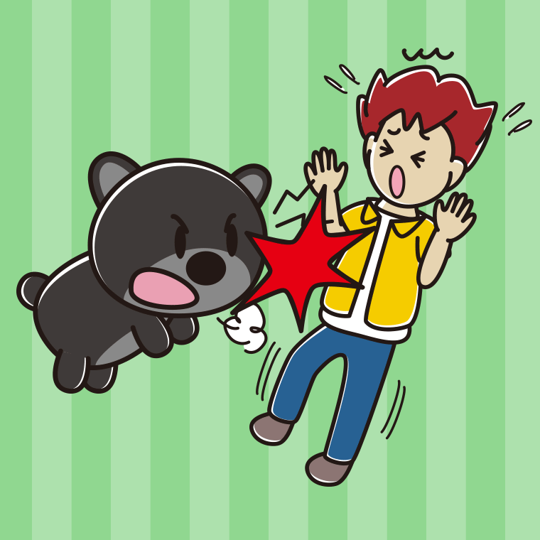 クマに襲われる男子大学生のイラスト【色、背景あり】PNG
