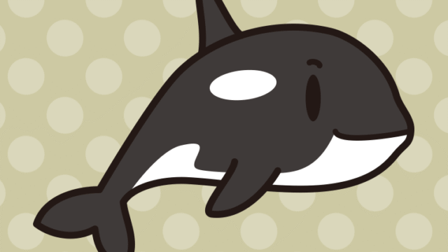 かわいいシャチちゃんのイラスト【色、背景あり】PNG
