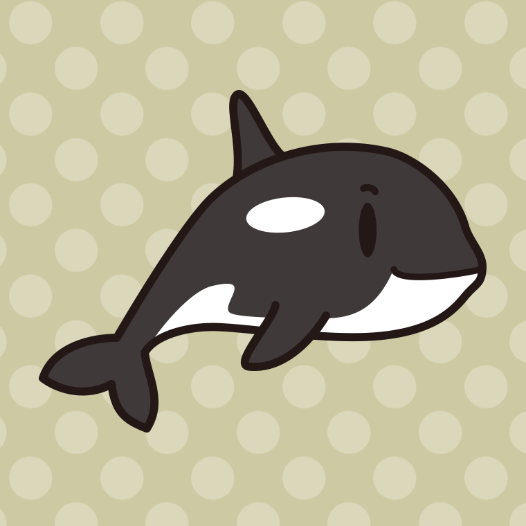 かわいいシャチちゃんのイラスト【色、背景あり】PNG