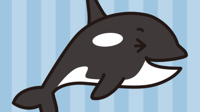 笑うシャチちゃんのイラスト【色、背景あり】PNG