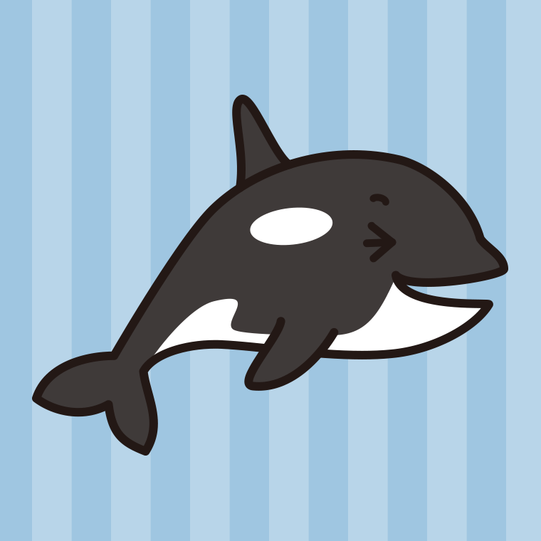 笑うシャチちゃんのイラスト【色、背景あり】PNG