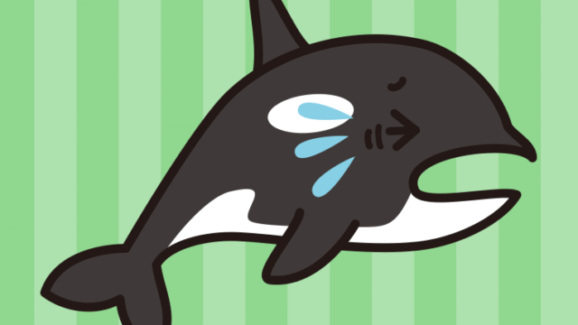 泣くシャチちゃんのイラスト【色、背景あり】PNG