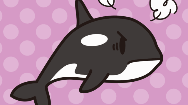 怒るシャチちゃんのイラスト【色、背景あり】PNG