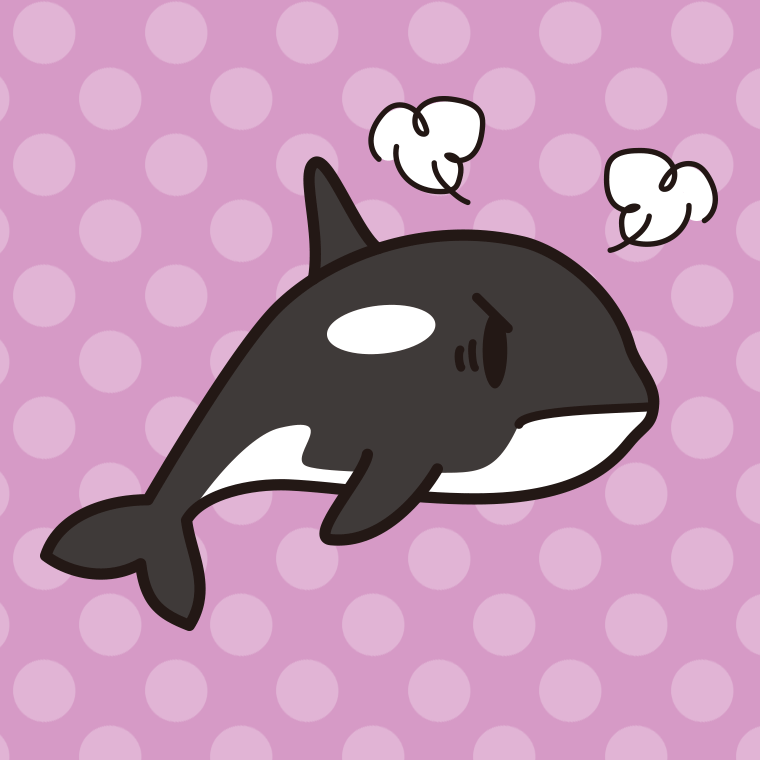 怒るシャチちゃんのイラスト【色、背景あり】PNG