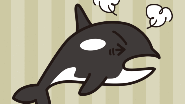カンカンに怒るシャチちゃんのイラスト【色、背景あり】PNG