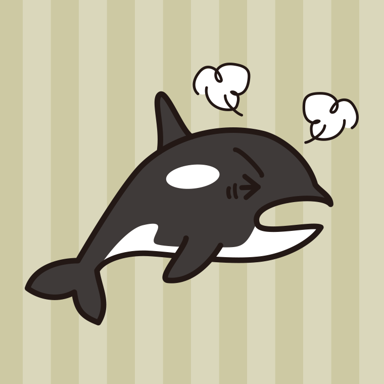 カンカンに怒るシャチちゃんのイラスト【色、背景あり】PNG