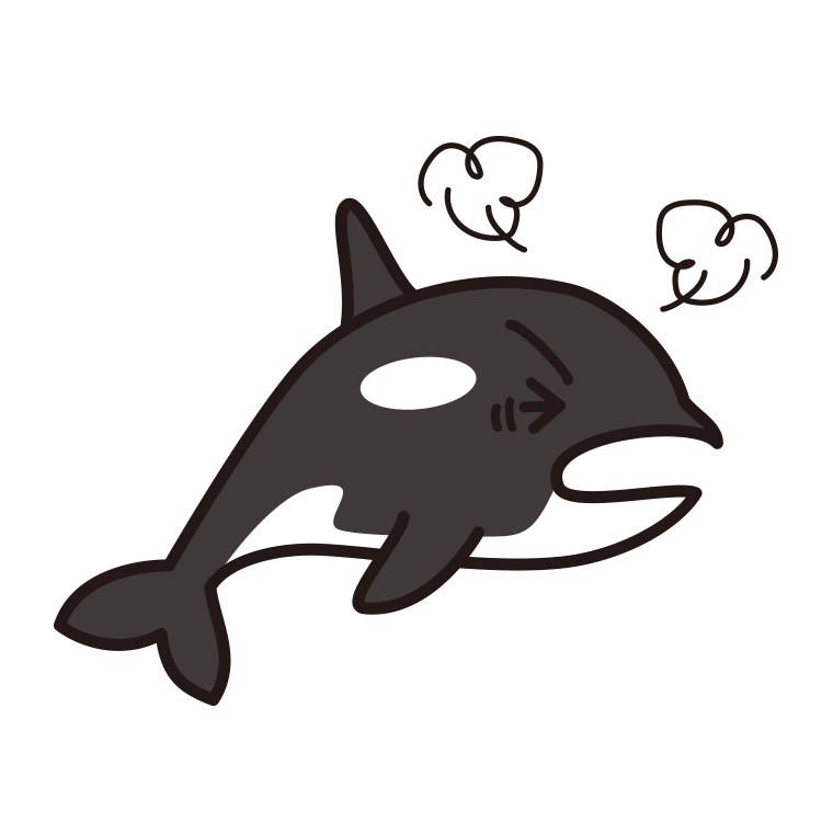 カンカンに怒るシャチちゃんのイラスト【色あり、背景なし】透過PNG