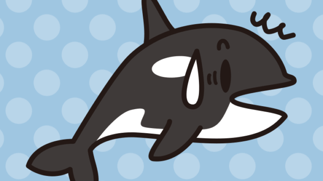 驚くシャチちゃんのイラスト【色、背景あり】PNG