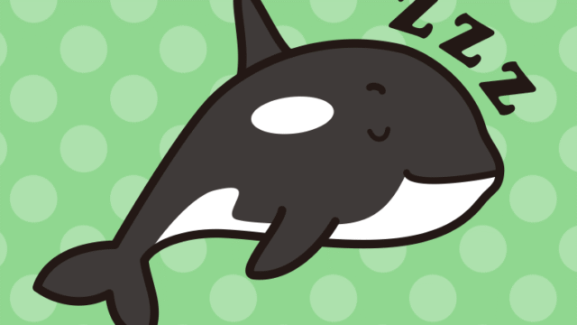 眠るシャチちゃんのイラスト【色、背景あり】PNG