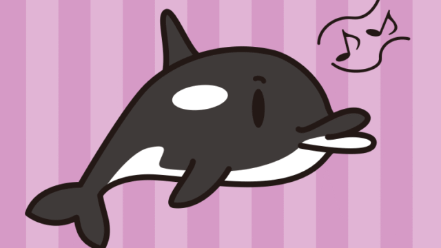 口笛を吹くシャチちゃんのイラスト【色、背景あり】PNG