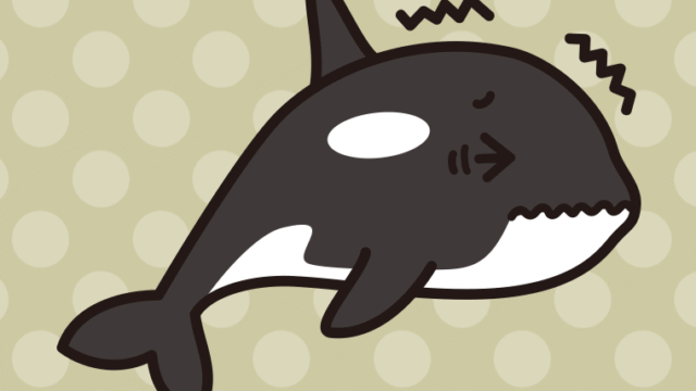 ブルブル震えるシャチちゃんのイラスト【色、背景あり】PNG