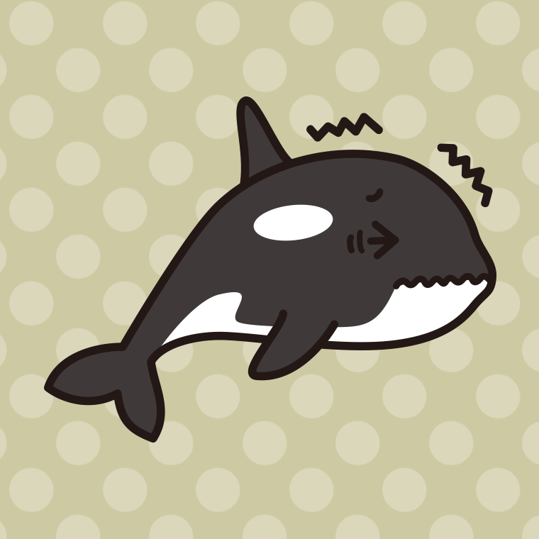 ブルブル震えるシャチちゃんのイラスト【色、背景あり】PNG