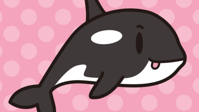 テヘペロなシャチちゃんのイラスト【色、背景あり】PNG