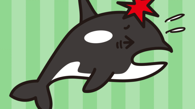 ぶつかるシャチちゃんのイラスト【色、背景あり】PNG