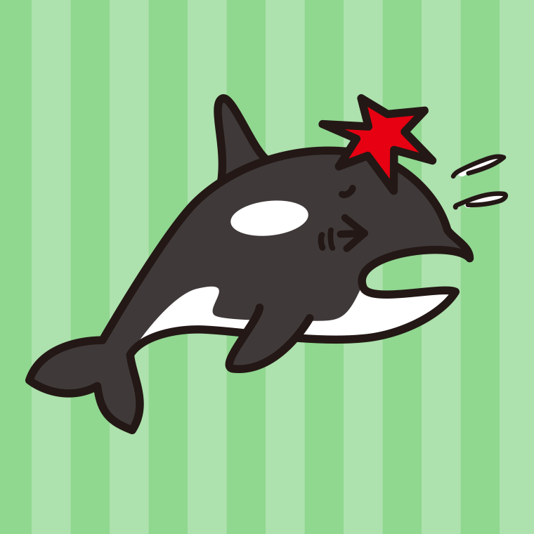ぶつかるシャチちゃんのイラスト【色、背景あり】PNG