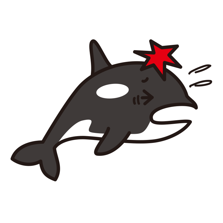 ぶつかるシャチちゃんのイラスト【色あり、背景なし】透過PNG