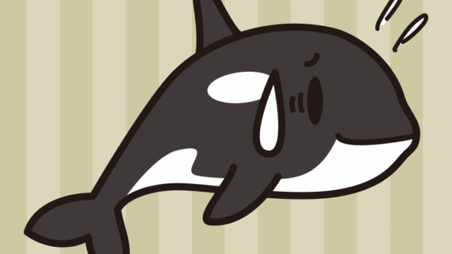 苦笑いするシャチちゃんのイラスト【色、背景あり】PNG