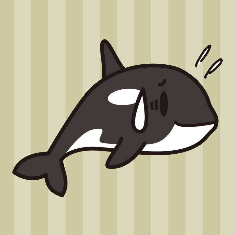 苦笑いするシャチちゃんのイラスト【色、背景あり】PNG