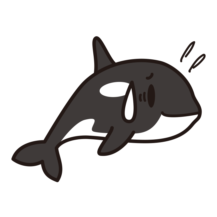 苦笑いするシャチちゃんのイラスト【色あり、背景なし】透過PNG