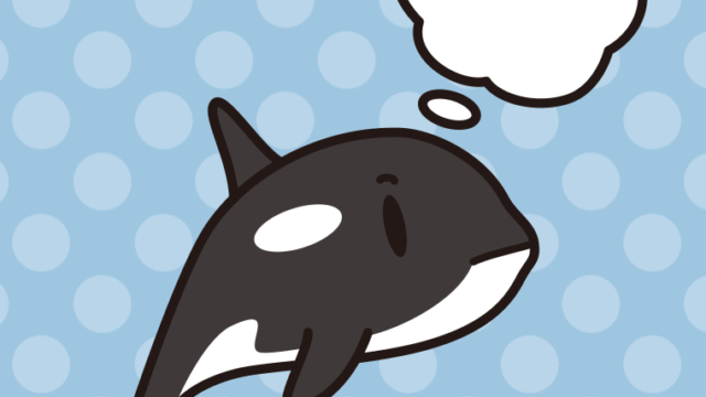 考えるシャチちゃんのイラスト【色、背景あり】PNG