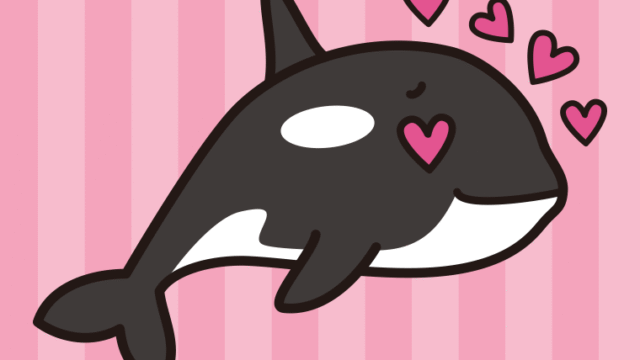 目がハートのシャチちゃんのイラスト【色、背景あり】PNG