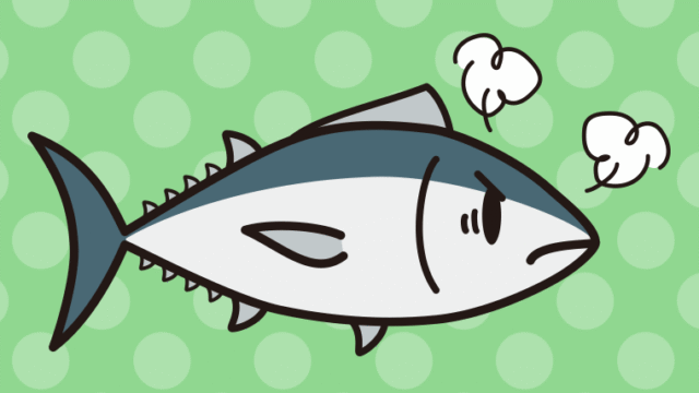 怒るマグロちゃんのイラスト【色、背景あり】PNG