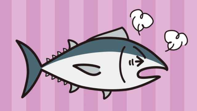 カンカンに怒るマグロちゃんのイラスト【色、背景あり】PNG