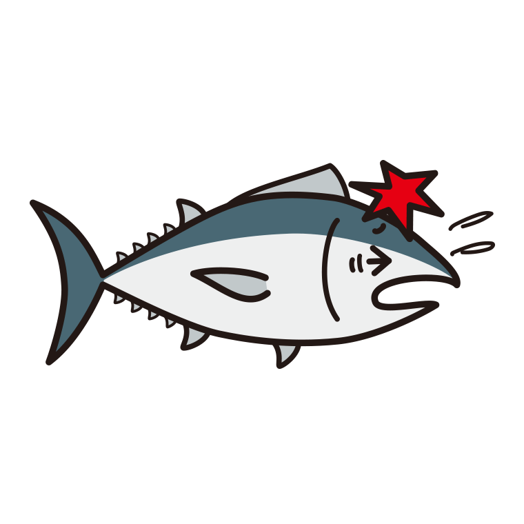 ぶつかるマグロちゃんのイラスト【色あり、背景なし】透過PNG