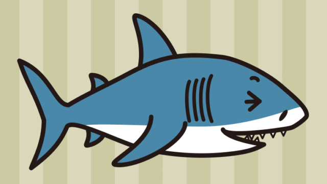 笑うサメちゃんのイラスト【色、背景あり】PNG