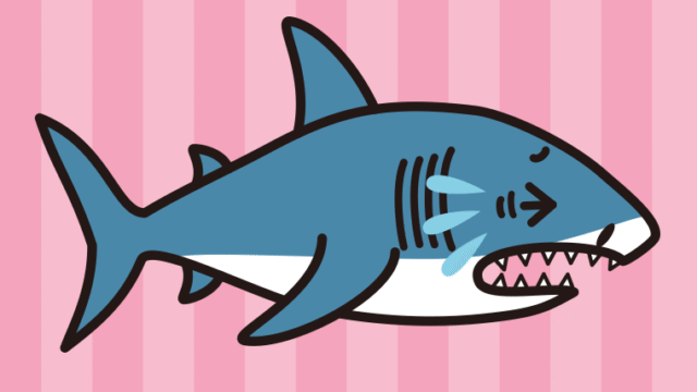 泣くサメちゃんのイラスト【色、背景あり】PNG