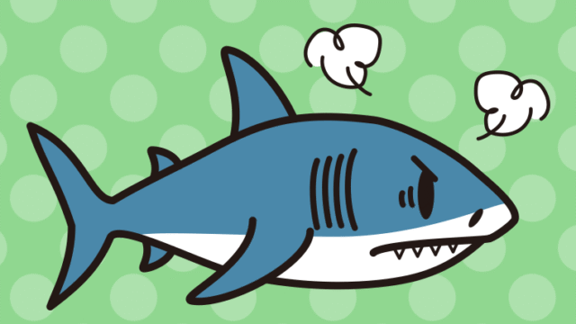 怒るサメちゃんのイラスト【色、背景あり】PNG