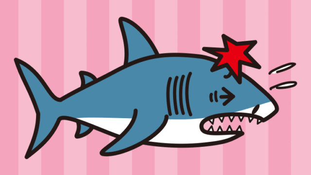 ぶつかるサメちゃんのイラスト【色、背景あり】PNG