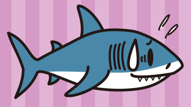 苦笑いするサメちゃんのイラスト【色、背景あり】PNG