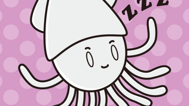 眠るイカちゃんのイラスト【色、背景あり】PNG