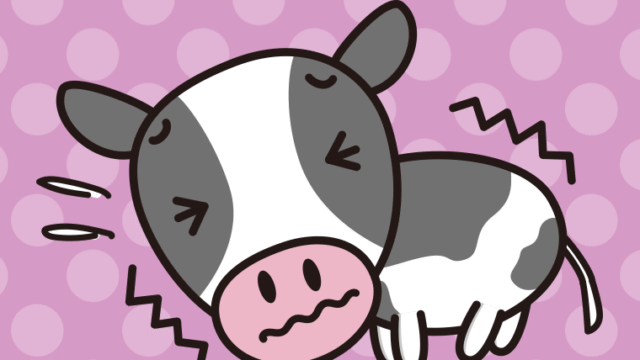 ブルブル震える牛ちゃんのイラスト【色、背景あり】PNG