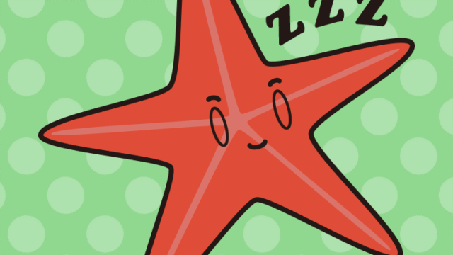 眠るヒトデちゃんのイラスト【色、背景あり】PNG