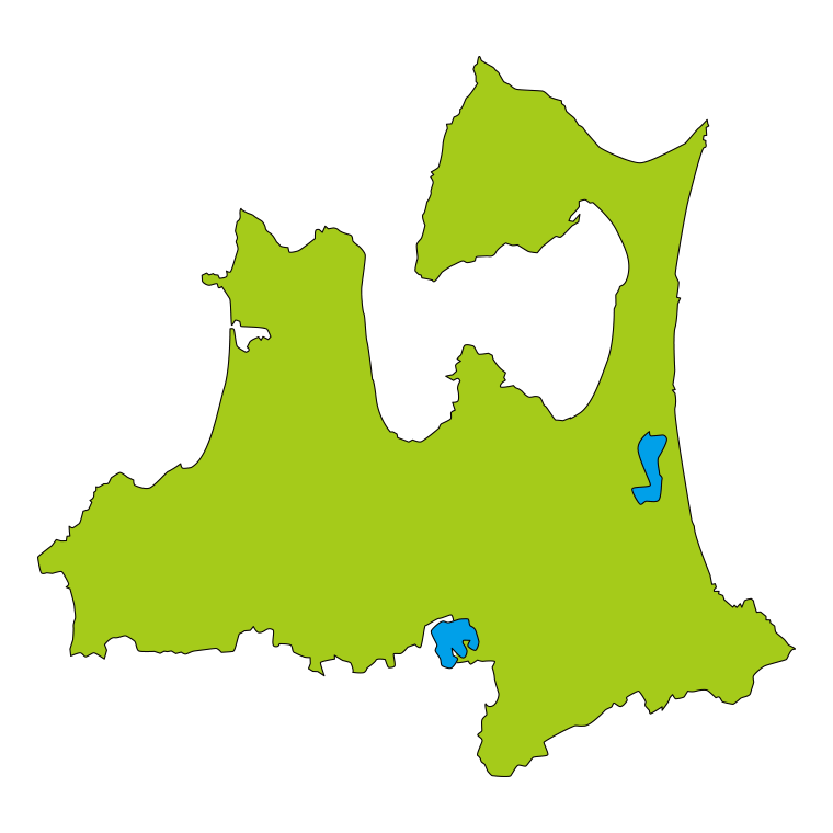 青森県の地図（詳細版・リアル）のイラスト【色あり、背景なし】透過PNG