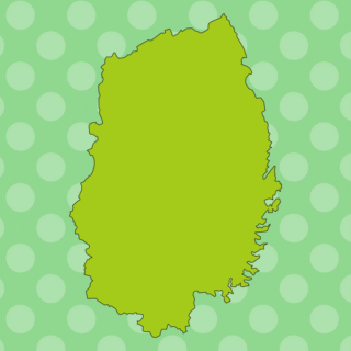 岩手県の地図（詳細版・リアル）のイラスト【色、背景あり】PNG