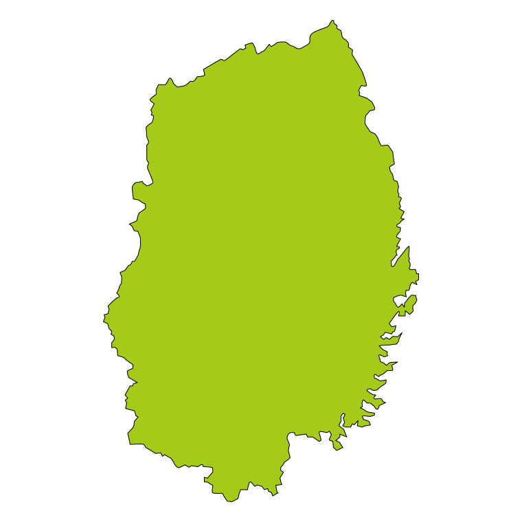 岩手県の地図（詳細版・リアル）のイラスト【色あり、背景なし】透過PNG