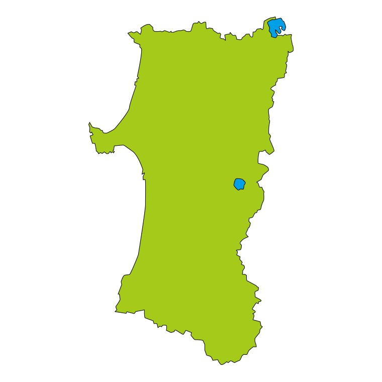 秋田県の地図（詳細版・リアル）のイラスト【色あり、背景なし】透過PNG