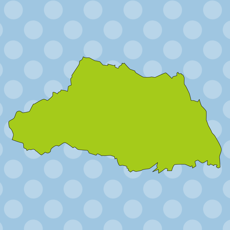 埼玉県の地図（詳細版・リアル）のイラスト【色、背景あり】PNG