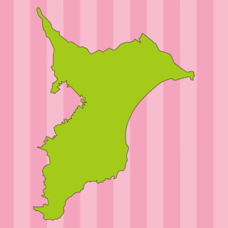 千葉県の地図（詳細版・リアル）のイラスト【色、背景あり】PNG