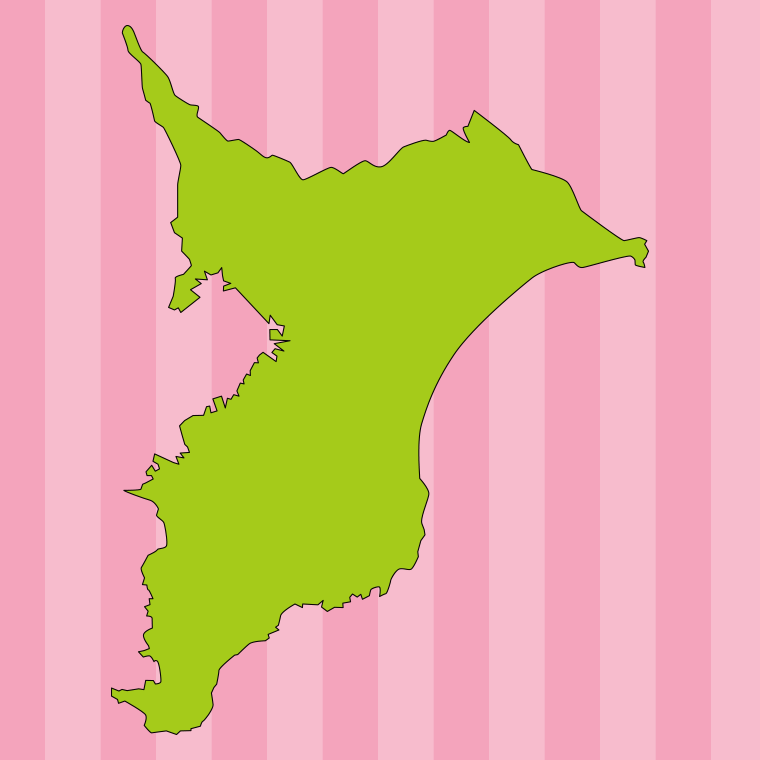 千葉県の地図（詳細版・リアル）のイラスト【色、背景あり】PNG