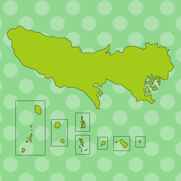 東京都の地図（詳細版・リアル）のイラスト【色、背景あり】PNG