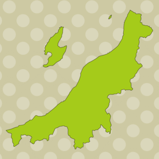 新潟県の地図（詳細版・リアル）のイラスト【色、背景あり】PNG