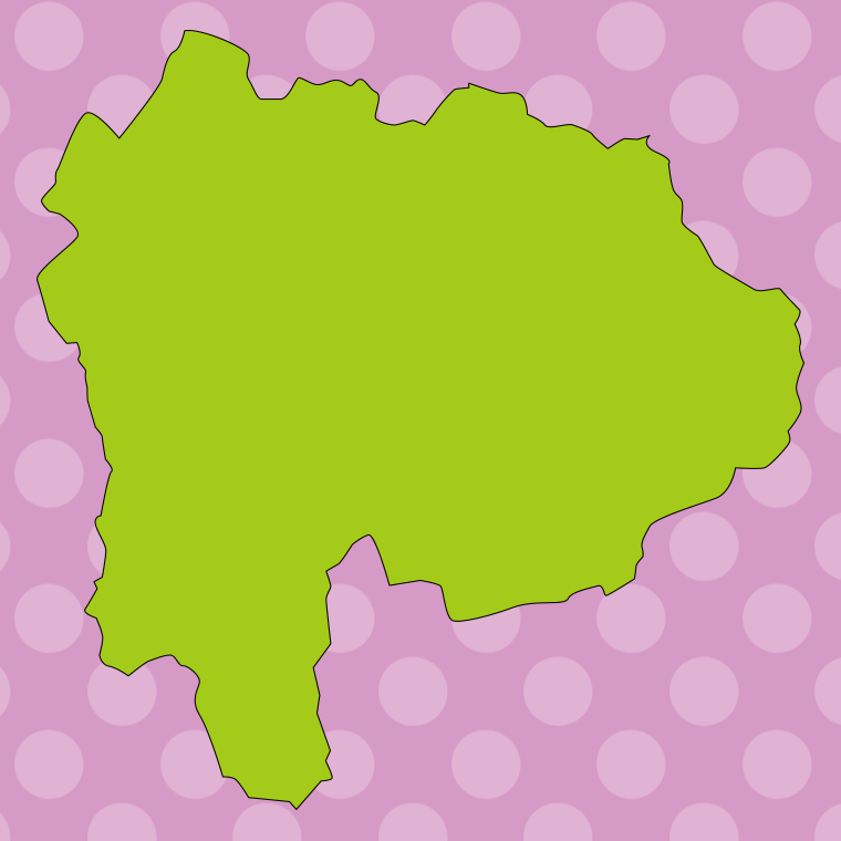 山梨県の地図（詳細版・リアル）のイラスト【色、背景あり】PNG