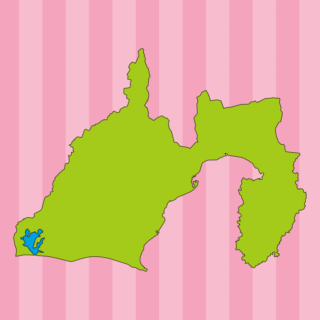 静岡県の地図（詳細版・リアル）のイラスト【色、背景あり】PNG