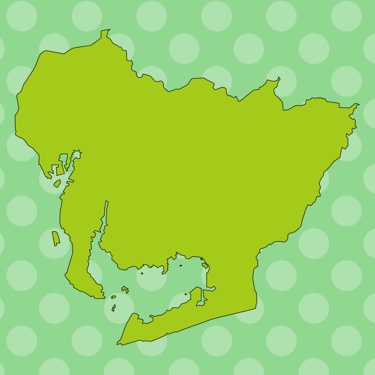 愛知県の地図（詳細版・リアル）のイラスト【色、背景あり】PNG
